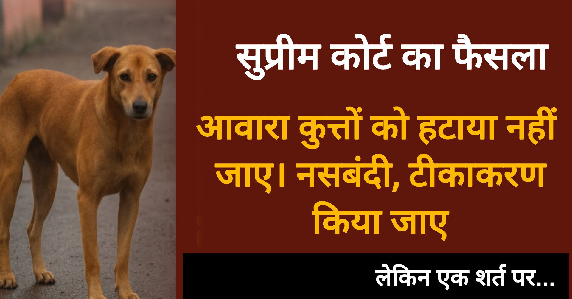 supreme court on dogs